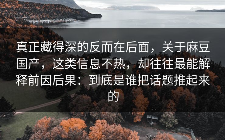 真正藏得深的反而在后面，关于麻豆国产，这类信息不热，却往往最能解释前因后果：到底是谁把话题推起来的